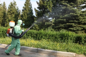Уничтожение комаров в Серпухове