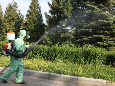 Уничтожение комаров в Серпухове